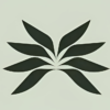 Star Cactus 2fe5ccf5ea0909e6a9e3d8cf0b09cda4 100x100