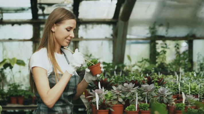 Zeelma gardening services